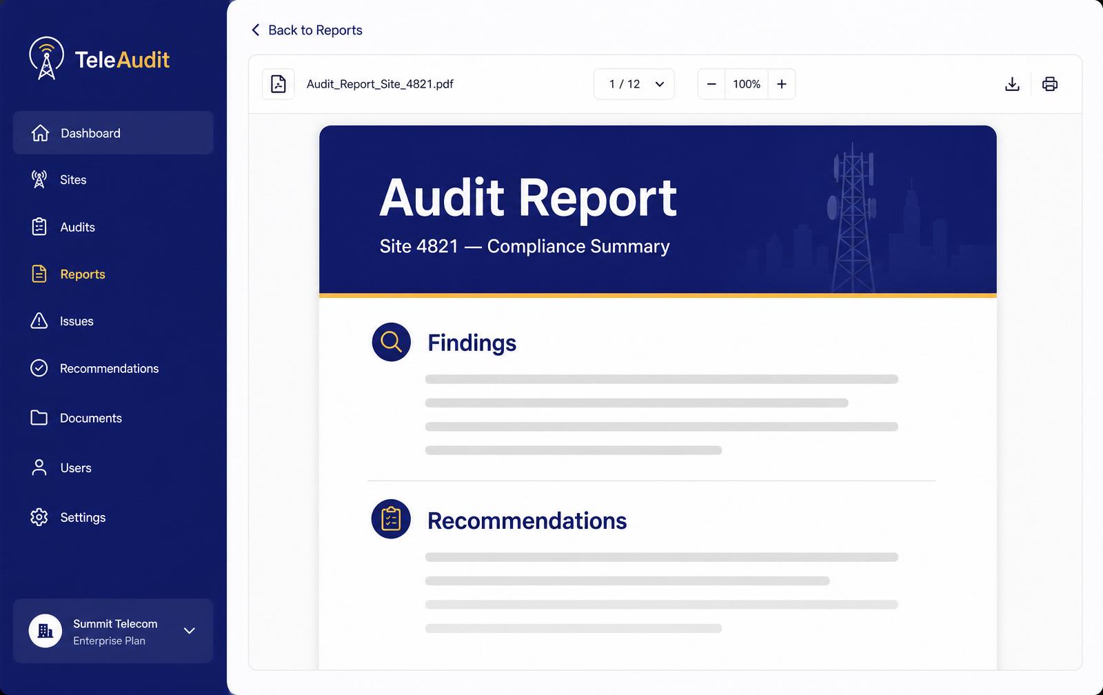 Professional PDF report